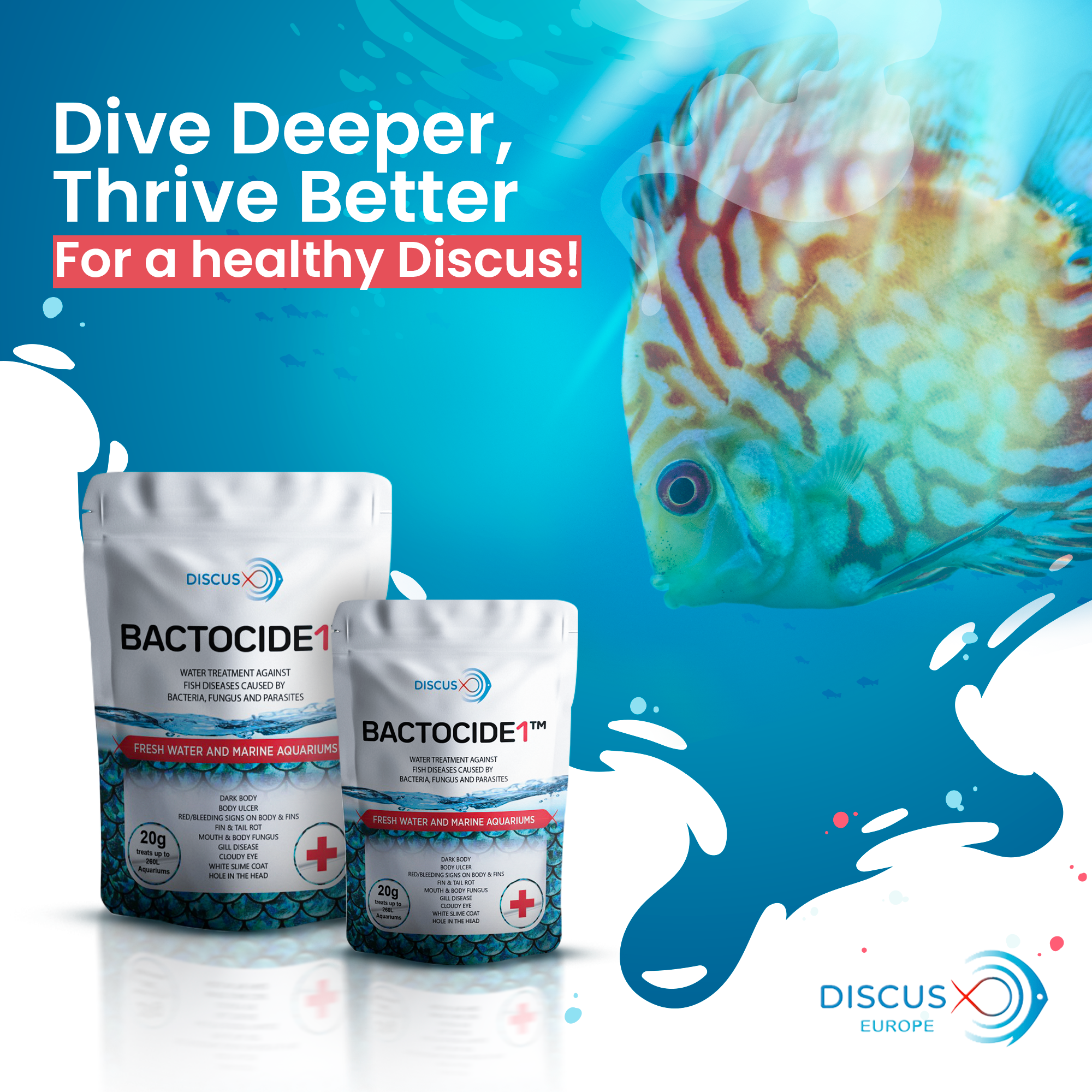 Dive deeper, thrive better - DiscusX aquarium care philosophy